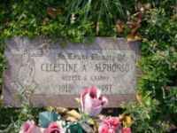  Celestine A. Alphonso