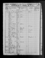1850 United States Federal Census - Levi Friver