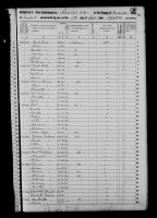 1850 United States Federal Census - Nelson Paterson