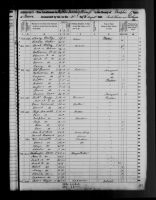 1850 United States Federal Census - Thomas A Brown