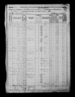 1870 United States Federal Census - Agnes Bowman