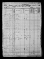1870 United States Federal Census - Anna Eliza Williams