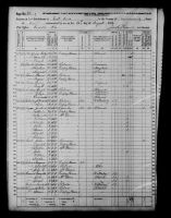 1870 United States Federal Census - Dolly Wilkinson
