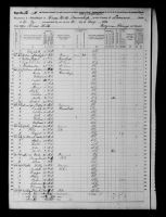 1870 United States Federal Census - Lucinda Williams