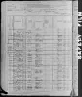 1880 United States Federal Census - Amelia Gaitor