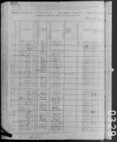 1880 United States Federal Census - Emma Scrivner