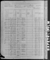 1880 United States Federal Census - Francis Johnson
