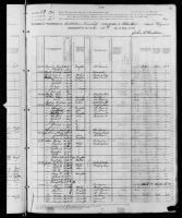 1880 United States Federal Census - George Potter Sr