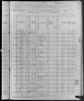 1880 United States Federal Census - Hattie Polstom