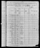 1880 United States Federal Census - Lee Tait McGuffin