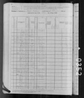 1880 United States Federal Census - Lidia Wall