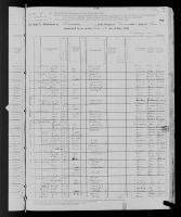 1880 United States Federal Census - Mahala J Mosley