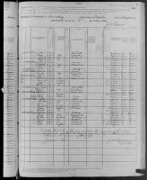 1880 United States Federal Census - Martha Roberts Green Potter
