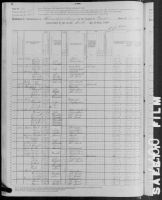 1880 United States Federal Census - Mrs Amelia Gaitor