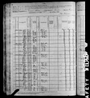 1880 United States Federal Census - Rev Walker Tolliver