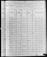1880 United States Federal Census - Sara Jane Newman