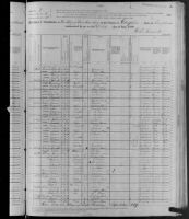 1880 United States Federal Census - Simon Peter Smothers