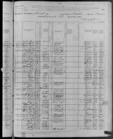 1880 United States Federal Census - William H Bibb