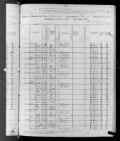 1880 United States Federal Census - William H Mathews
