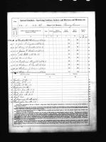 1890 Veterans Schedules of the U.S. Federal Census