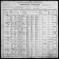 1900 United States Federal Census - Addison Eubank