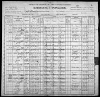 1900 United States Federal Census - Andrew Lacy