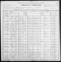 1900 United States Federal Census - Bettie E Scott