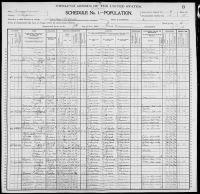 1900 United States Federal Census - Charles Chunn I