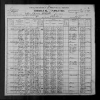 1900 United States Federal Census - Charlott Nickins