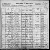 1900 United States Federal Census - Daniel W Bell