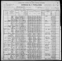 1900 United States Federal Census - Fanney Pinkney