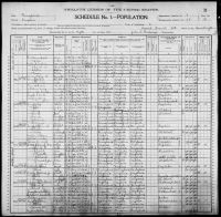 1900 United States Federal Census - Fannie Burrs