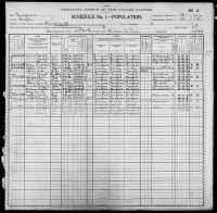1900 United States Federal Census - Fannie Dillworth