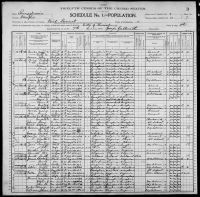 1900 United States Federal Census - Fred Carington