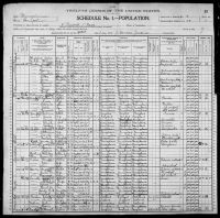 1900 United States Federal Census - George Calvern Dickey