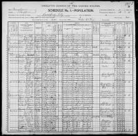 1900 United States Federal Census - Harry H Zedricks