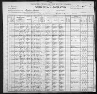 1900 United States Federal Census - Helen O Duffan