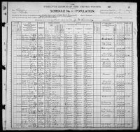 1900 United States Federal Census - Henrietta Randolph