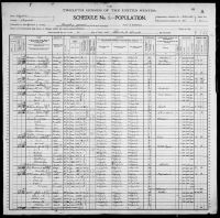 1900 United States Federal Census - James Mcguffin
