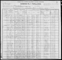 1900 United States Federal Census - Jane Polston