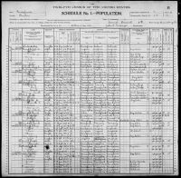 1900 United States Federal Census - Julia Williams