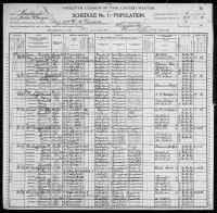 1900 United States Federal Census - Lawrence Riggs Wormley