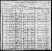 1900 United States Federal Census - Lorenzo Taylor I