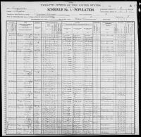 1900 United States Federal Census - Lydia B Brown