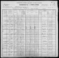 1900 United States Federal Census - Maggie B Doleman