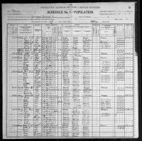 1900 United States Federal Census - Mattie Banks