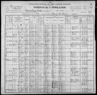 1900 United States Federal Census - Mattie Magdalene Madden