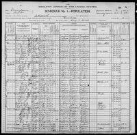 1900 United States Federal Census - Millie White