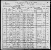 1900 United States Federal Census - Moses Everett II