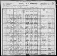 1900 United States Federal Census - Peter Scrivner